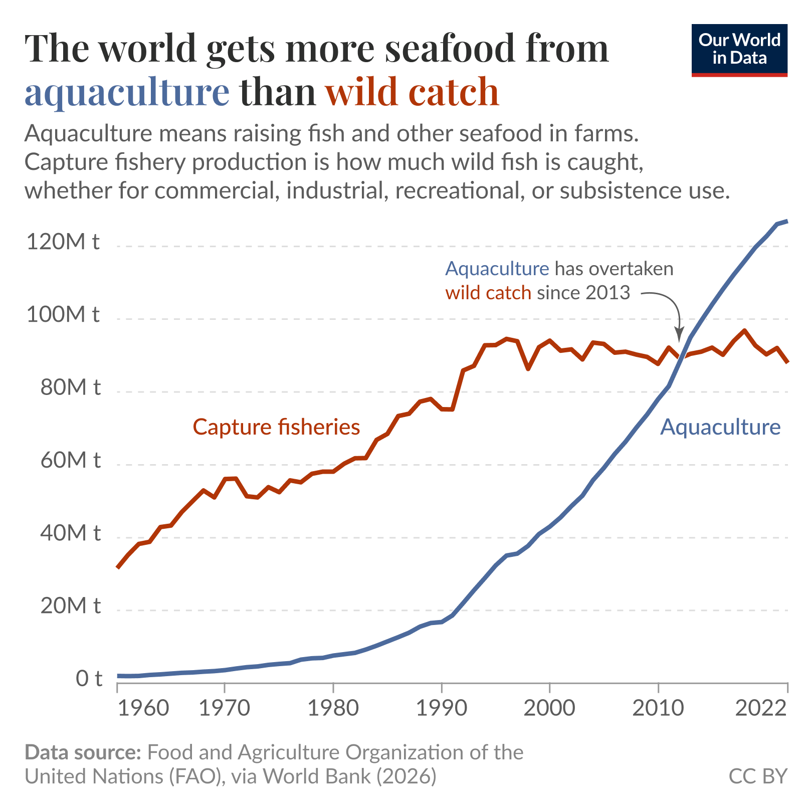 Line chart of global seafood production from 1960 to 2022 comparing aquaculture and capture fisheries where aquaculture rises from near zero in the 1960s, accelerates from the 1990s, and overtakes capture fisheries around 2010. Capture fisheries grow earlier then level off, while aquaculture becomes the larger source of seafood by 2022. The data source is the Food and Agriculture Organization of the United Nations via the World Bank (2026). The chart is licensed CC BY to Our World in Data.